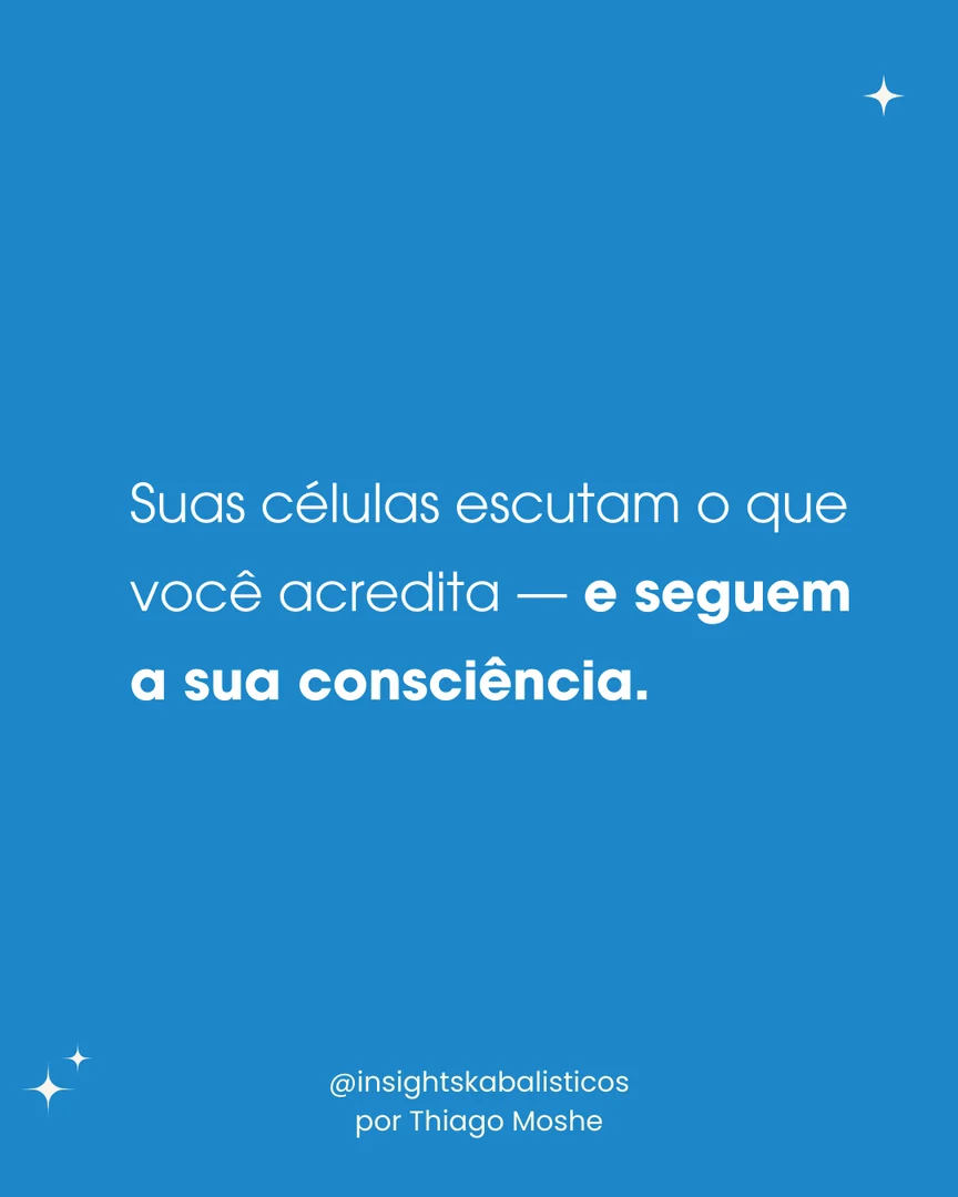 Dia 14 · slide 4