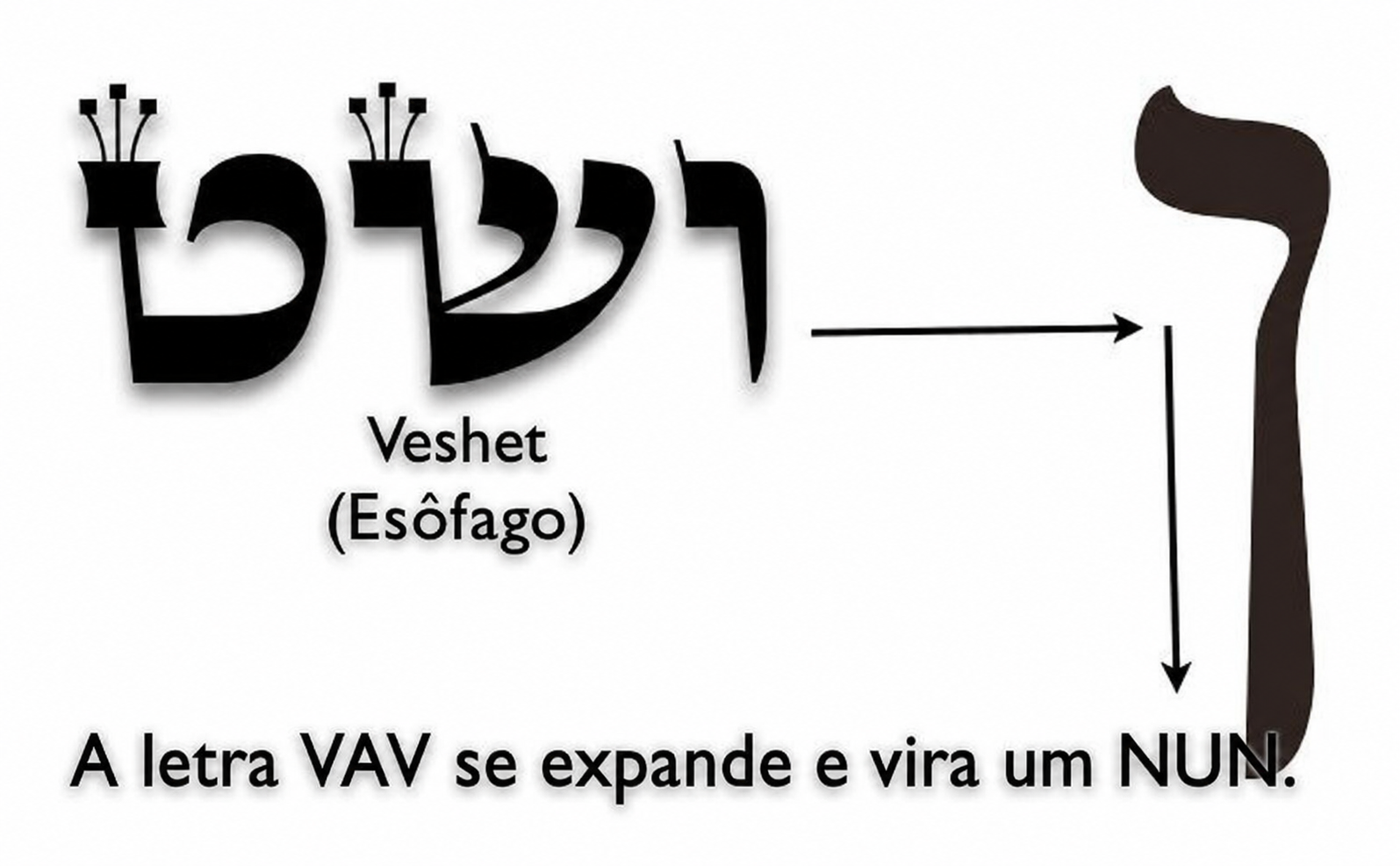 A palavra Veshet ao lado da letra Nun final ampliada, com uma seta indicando a expansão do Vav