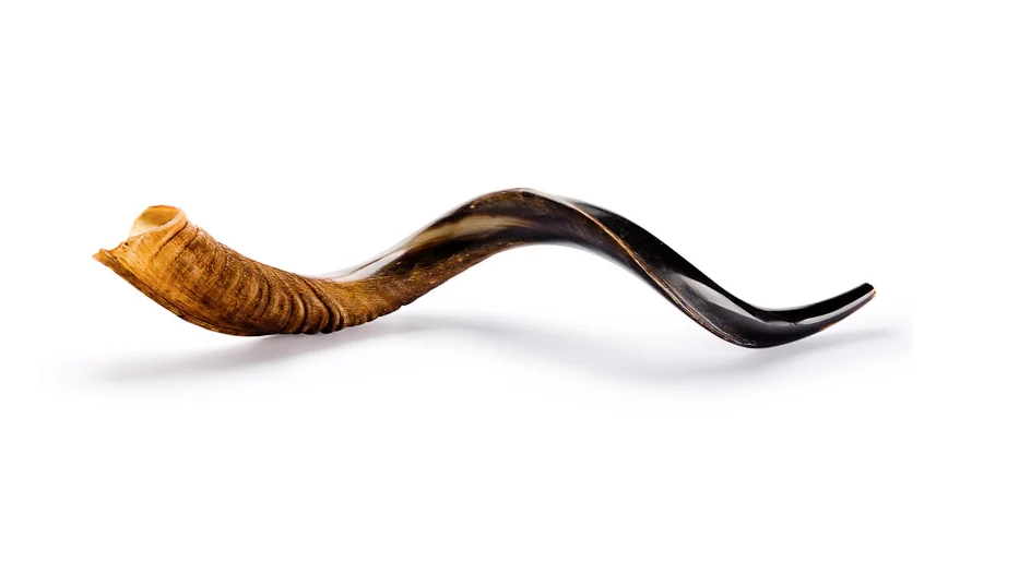 Um shofar, a trombeta de chifre usada nas tradições, sobre fundo claro